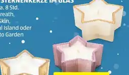 Hofer Home Creation Geriffelte Sternenkerze Angebot