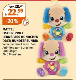 Müller Mattel fisher-price lernspass hündchen oder hundefreundin Angebot