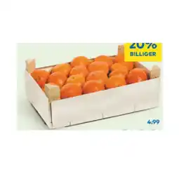 T&G Clementinen T&G Angebot