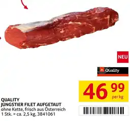 Transgourmet Quality jungstier filet aufgetaut Angebot