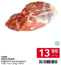 Transgourmet Lamm keule femur Angebot