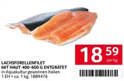 Transgourmet Lachsforellenfilet mit haut Angebot