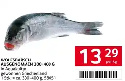 Transgourmet Wolfsbarsch ausgenommen Angebot