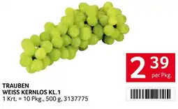 Transgourmet Trauben weiss kernlos Angebot