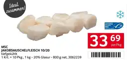 Transgourmet Msc jakobsmuschelfleisch 10/20 Angebot
