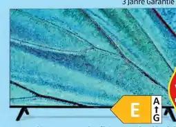 Hofer Medion Life UHD QLED Smart-TV Angebot