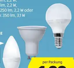 Hofer Casalux LED-Leuchtmittel Angebot