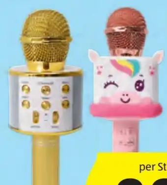 Hofer Karaoke Mikrofon Angebot