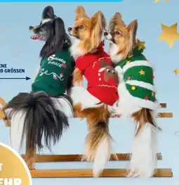 Hofer Romeo Hunde Weihnachtshoodie Angebot