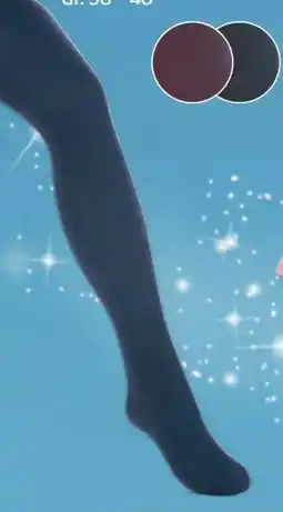 Hofer Up 2 Fashion Damen Thermo Strumpfhose Angebot