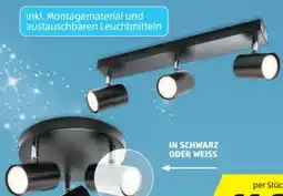 Hofer Casalux Spotlight Angebot