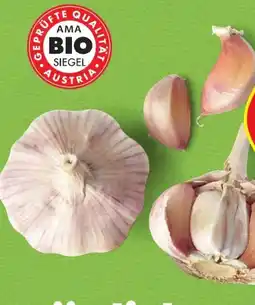 Hofer Zurück zum Ursprung Bio-Knoblauch Angebot
