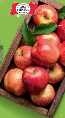 Hofer Hofer Marktplatz Äpfel Angebot