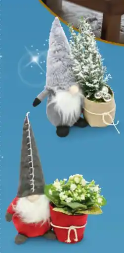 Hofer Wichtel Bepflanzt Angebot