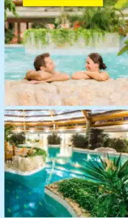 Hofer Hofer-Reisen Ungarn-Szentgotthard Angebot