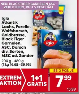 Billa Iglo Atlantik Lachs, Forelle, Wolfsbarsch, Goldbrasse, Angebot
