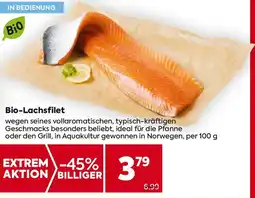 Billa Bio-Lachsfilet Angebot
