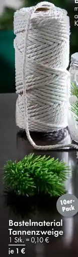 TEDi Bastelmaterial Tannenzweige Angebot