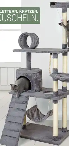 Woolworth Kratzbaum Angebot