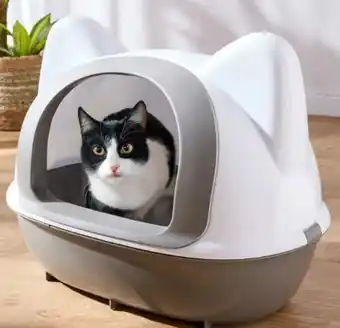 Woolworth Katzentoiletten Angebot