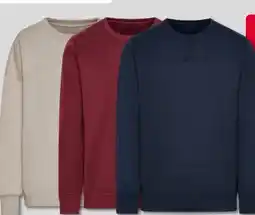 Woolworth Herren Sweatshirt Angebot