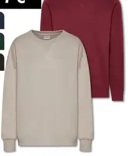 Woolworth Herren Sweatshirt Angebot