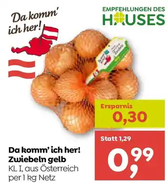 Da komm' ich her! Zwiebeln gelb