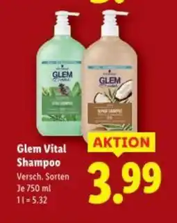 Lidl Glem Vital Shampoo Angebot