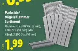 Lidl Parkside Nägel/Klammer Sortiment Angebot