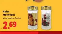 Lidl Hofer Motivlicht Angebot