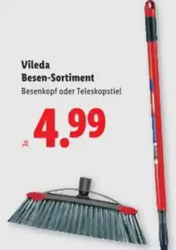 Lidl Vileda Besen-Sortiment Angebot