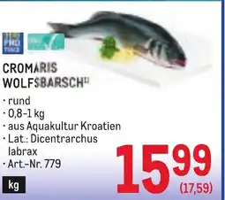Metro Cromaris wolfsbarsch Angebot