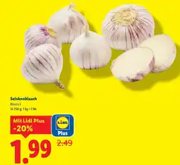 Lidl Soloknoblauch Angebot