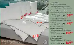 Matratzen Concord Feder- und Daunenpolster Angebot