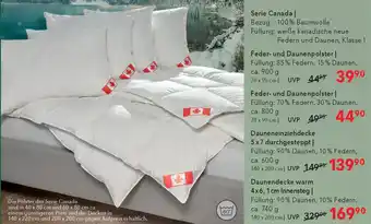 Matratzen Concord Feder- und Daunenpolster Angebot