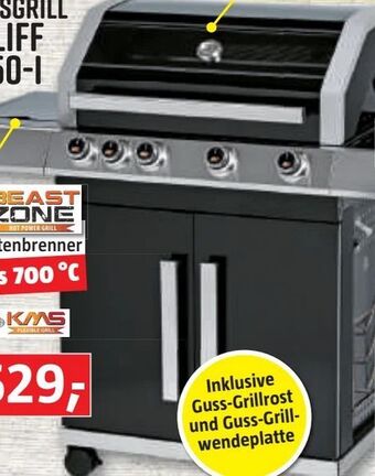 Bauhaus Gasgrill Cliff 450 Angebot