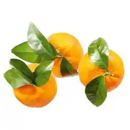 Lidl Clementinen Lidl Angebot