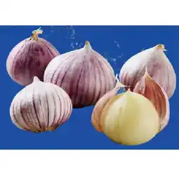 Lidl Soloknoblauch Lidl APP Preis Angebot