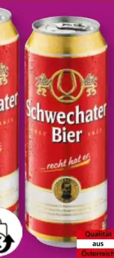 Norma Schwechater Bier Angebot
