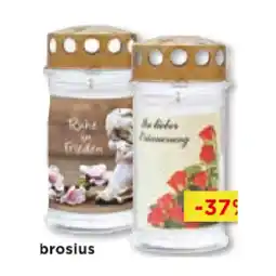 Unimarkt 5 Tage Brenner Grablicht versch. Motive Unimarkt Angebot