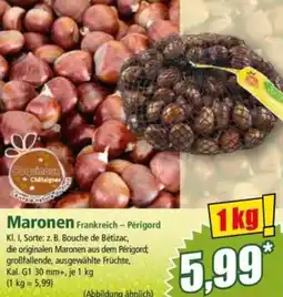 Norma Maronen Angebot