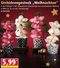 Norma Orchideengesteck Angebot