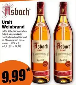 Norma Uralt Weinbrand Angebot