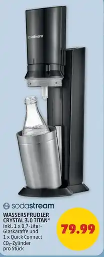 PENNY Wassersprudler crystal 3.0 titan Angebot