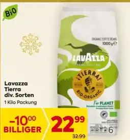 Billa Lavazza Tierra Angebot