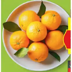 Hofer Clementinen HOFER Angebot