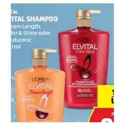 Hofer Elvital Shampoo div. Sorten HOFER Angebot