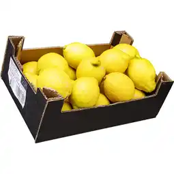 Metro BIO Zitronen, Preisangabe ohne MwSt. (Preis inkl. MwSt. 3,51 €), METRO Angebot