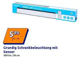 Action Grundig Schrankbeleuchtung mit Sensor Angebot
