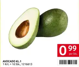 Transgourmet AVOCADO Angebot